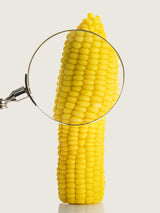 Corn Candle